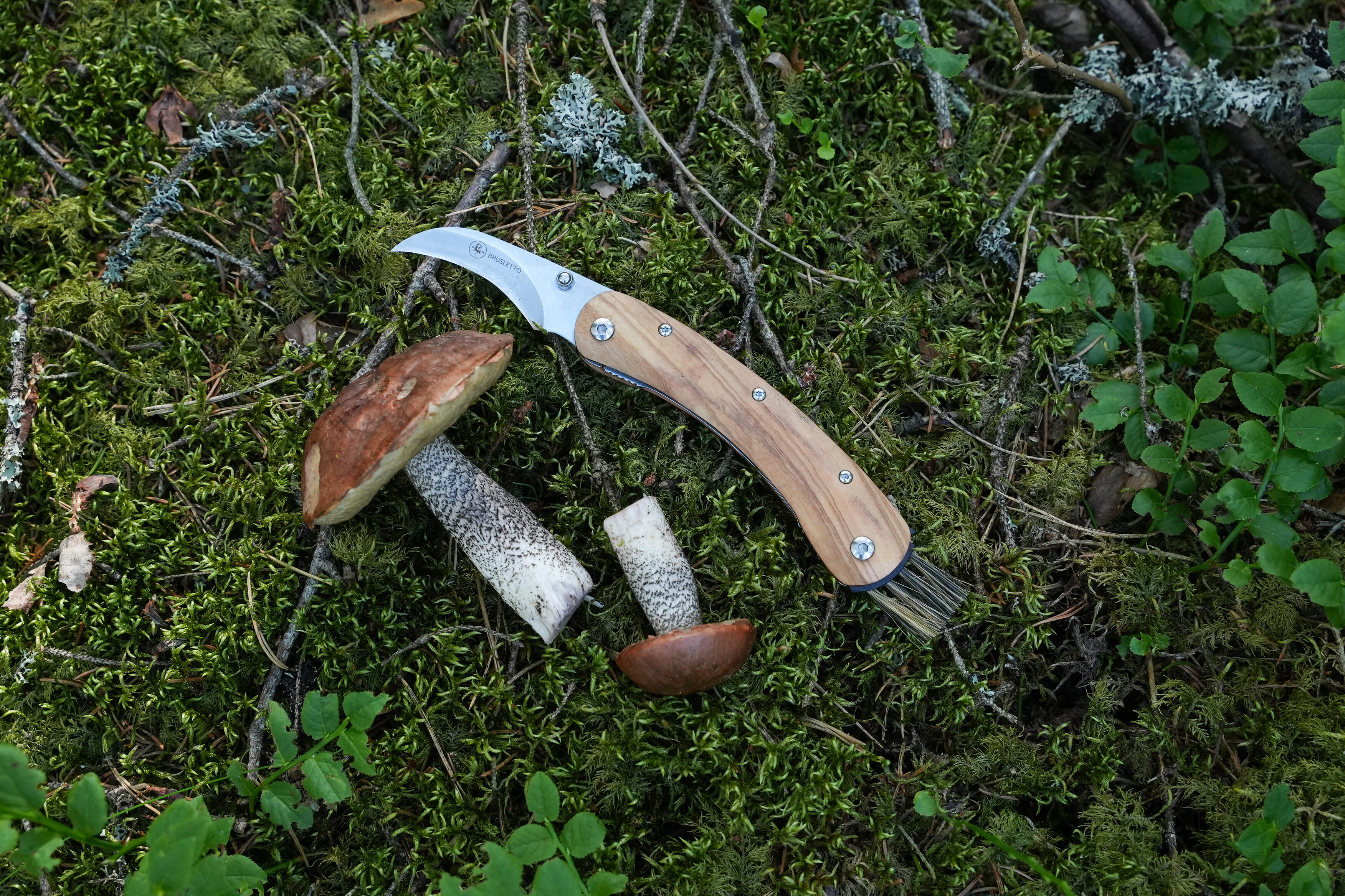 https://www.brusletto.com/pub_docs/files/DSC03864.JPG