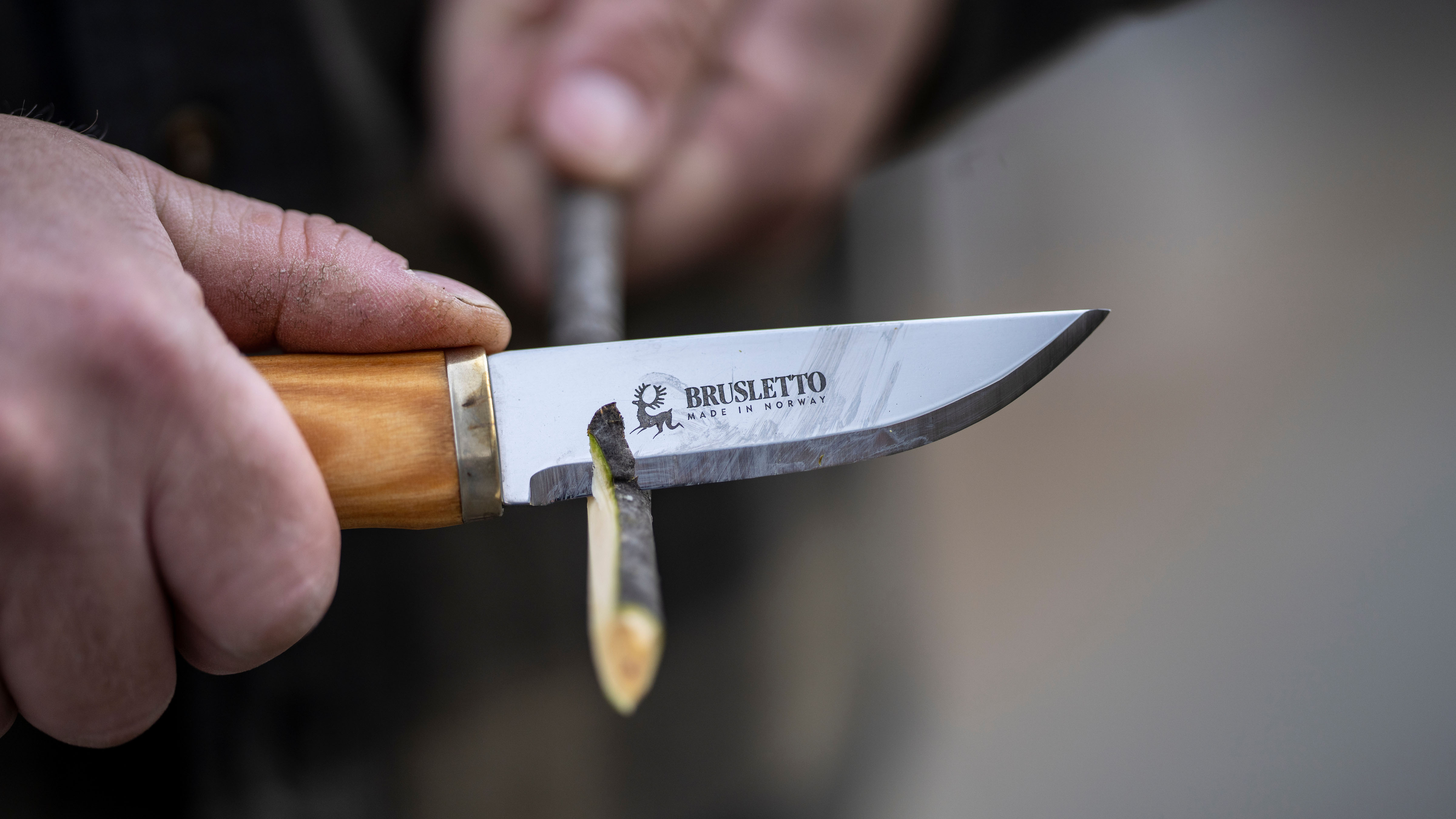 What is a Whittling Knife? 